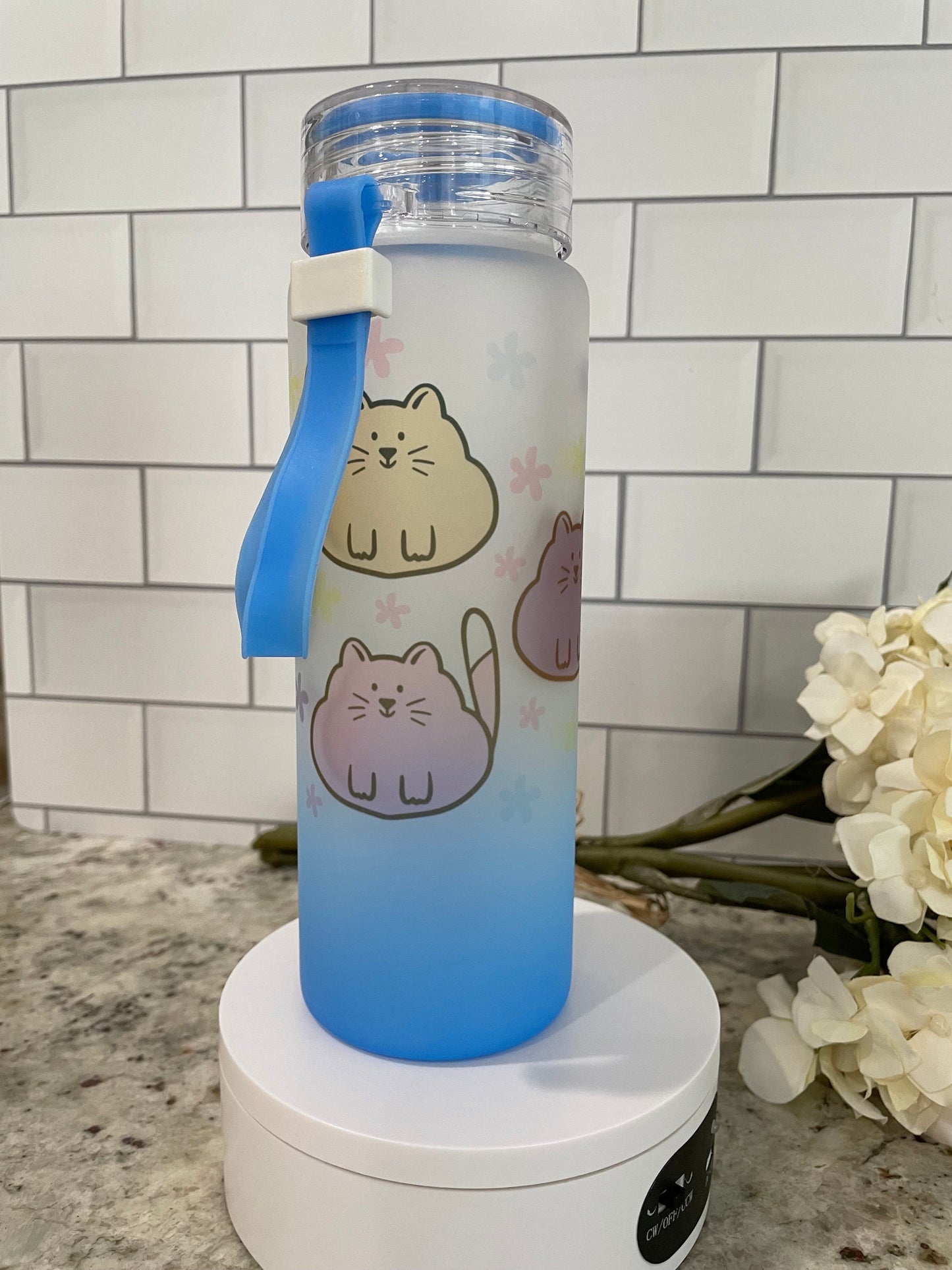 Chubby cat theme glass water bottle