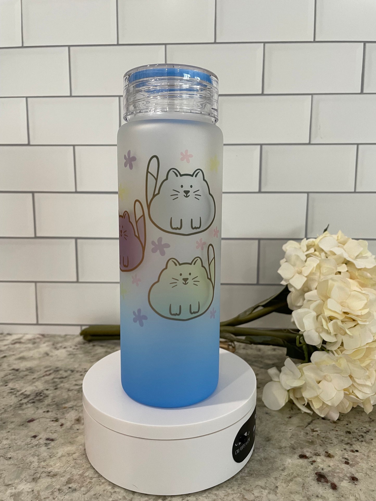 Chubby cat theme glass water bottle