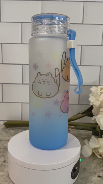 Chubby cat theme glass water bottle